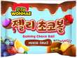 Wonhae Mixed Fruit Gummy Choco Ball 32g IDN – Martigane